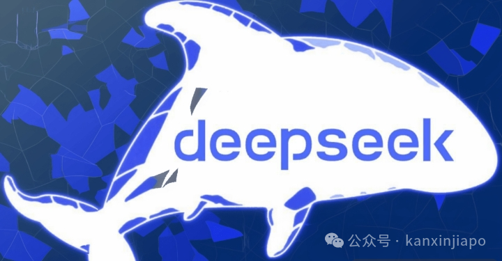 刷爆全网的DeepSeek 赢麻了?新加坡前总理夫人点破真相