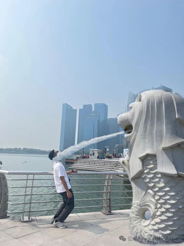 新加坡鱼尾狮要“放假”了!要打卡的别跑空