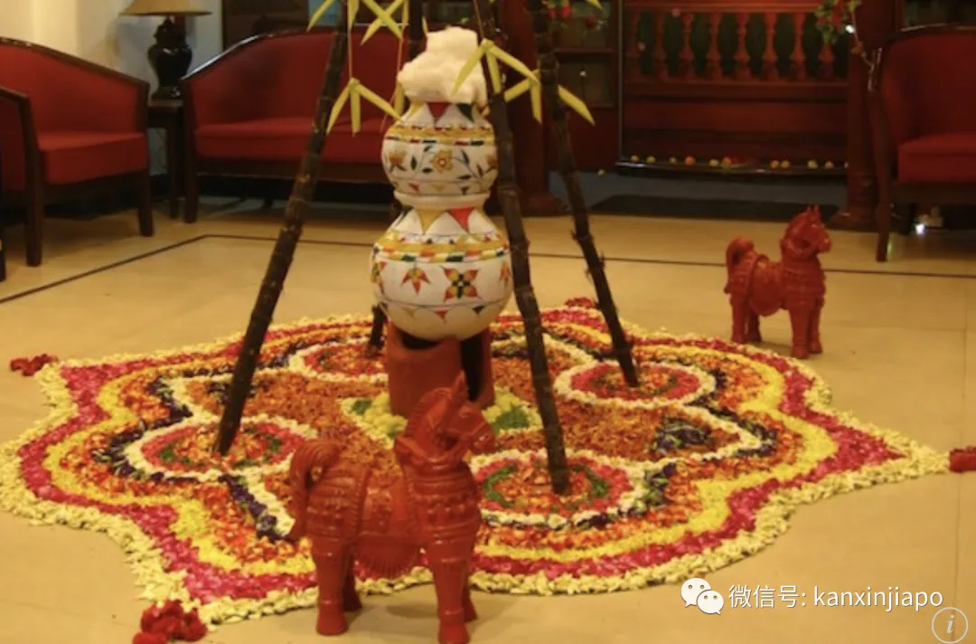 在新加坡过丰收节是什么体验?