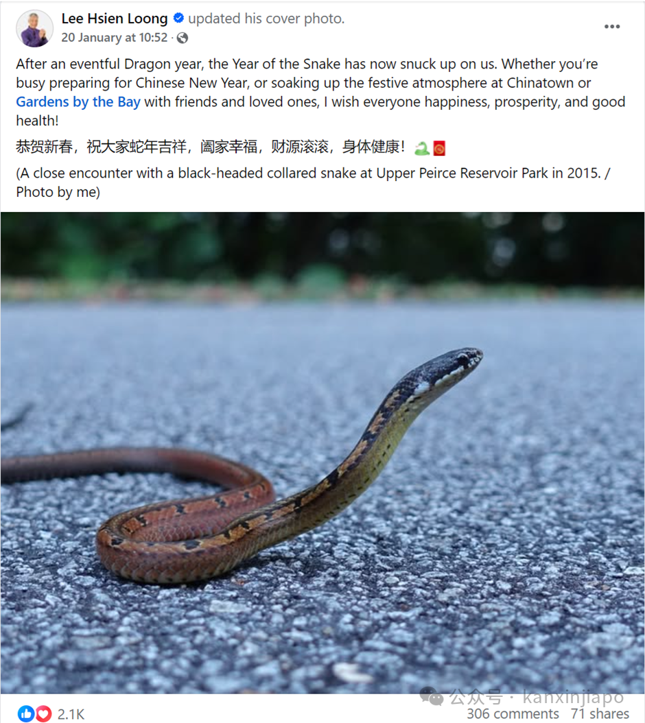 财源滚滚来~新加坡总理兼财长黄循财,写“财“字祝大家蛇年发财!
