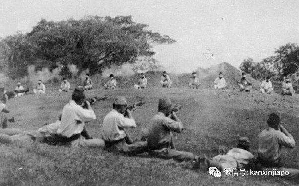这几天，“白头春联”爆红了网络