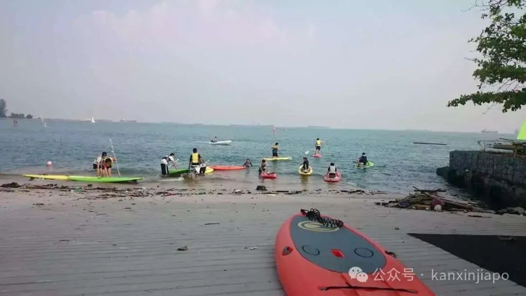13年的杀猪盘!他们在新加坡被“老师”骗了上百万新币