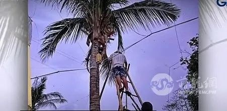 5名华社人士在菲律宾被捕,被指“非法搜集数据”
