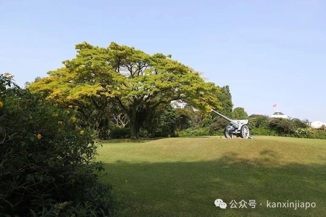 【下周活动】新春狂欢指南:圣淘沙巨龙巡游、晚晴园亲子手作、VERSE艺术展等你来!