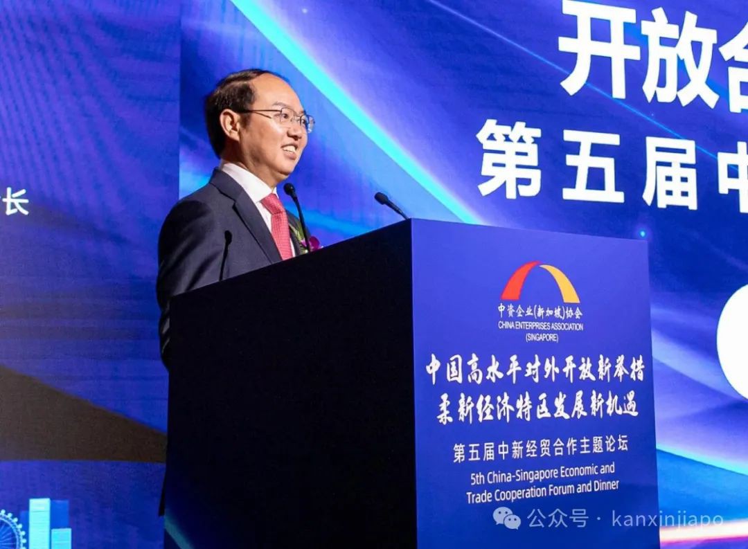 中新500精英齐聚香格里拉,柔新经济特区释放了哪些信号?