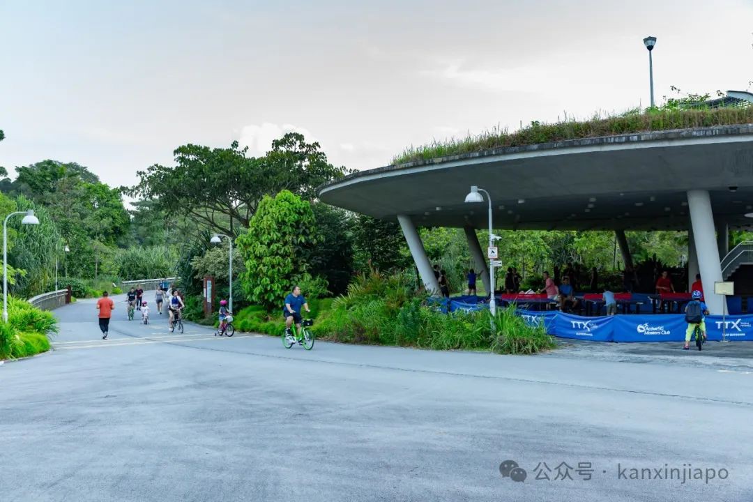 新加坡西部经典徒步路线一次看够,快来打卡!