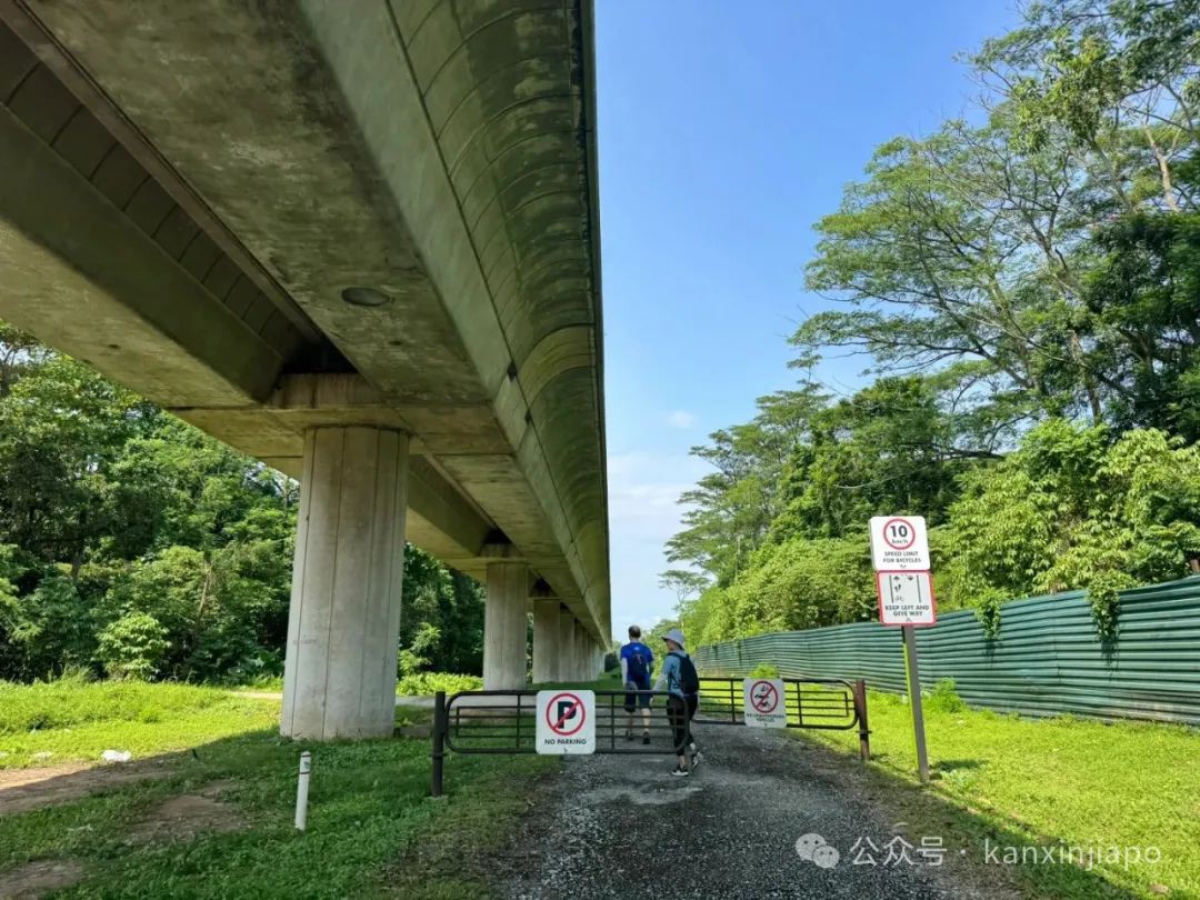 4小时徒步走穿新加坡！网友：只有5万步？
