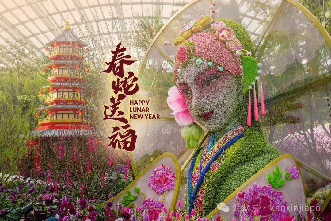 都说“消费降级”,但中国旅客给新加坡的收益,不降反升!