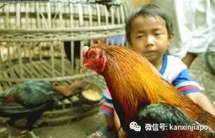 过去一百年的春节期间，新加坡华人都关心些什么？