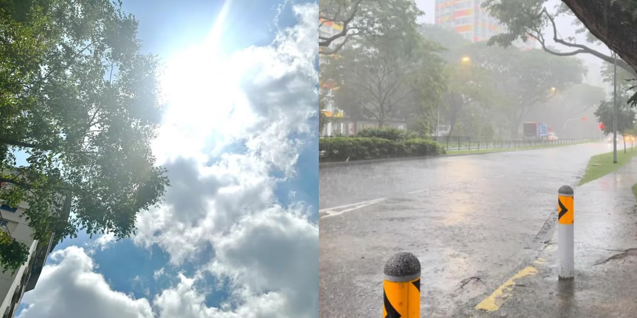 新加坡的气候太“魔幻”了!高温破纪录,降雨量超常,今年的天气会更极端?