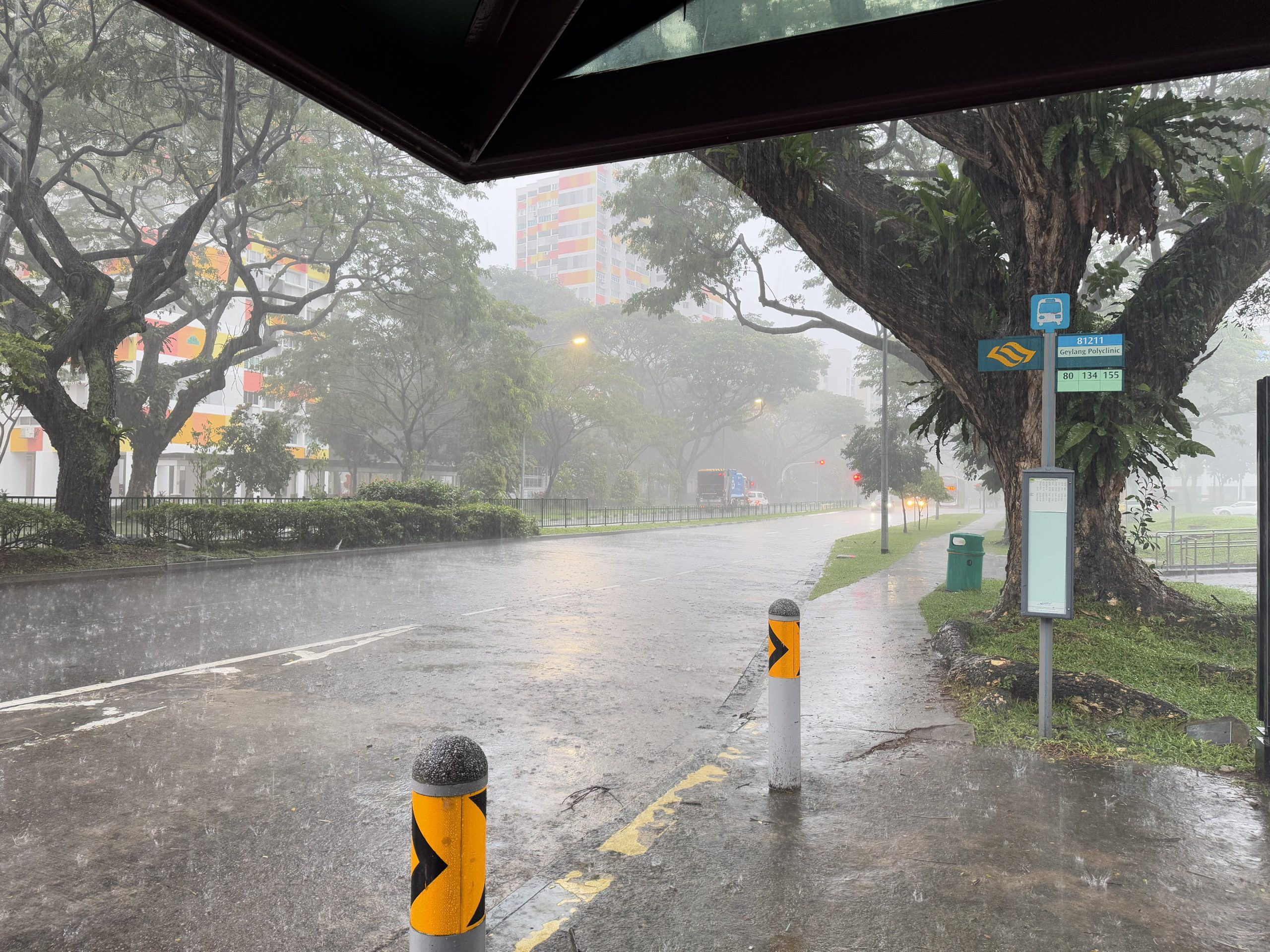 今天早上的大雨