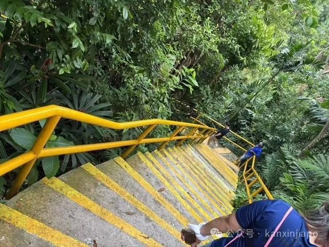 从新加坡CBD出发30分钟!这座小岛竟然藏着求财圣地