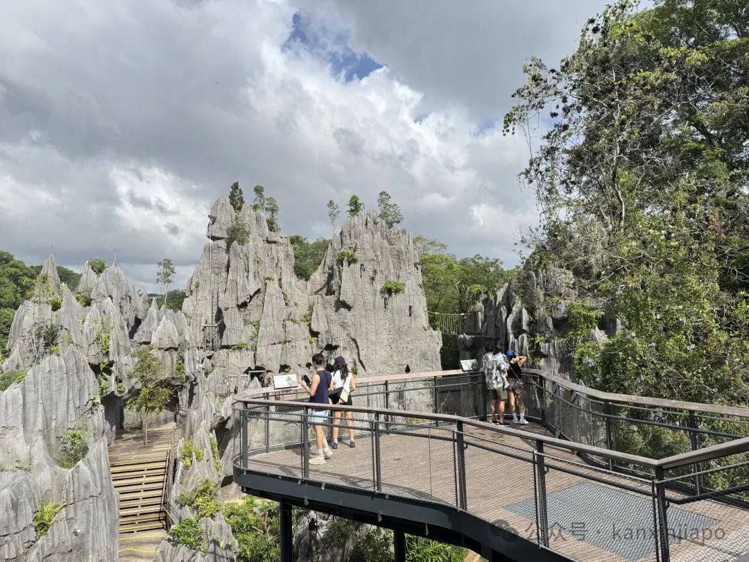 新加坡新地标!雨林探险园多样玩法,沉浸式体验自然生态
