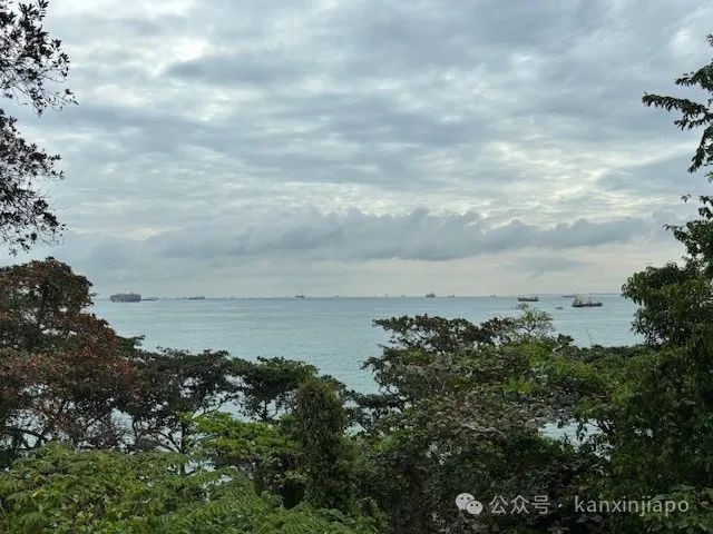 从新加坡CBD出发30分钟!这座小岛竟然藏着求财圣地