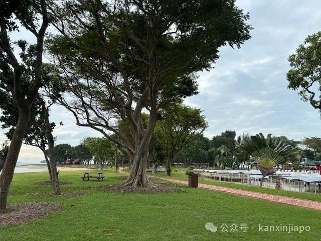 从新加坡CBD出发30分钟!这座小岛竟然藏着求财圣地