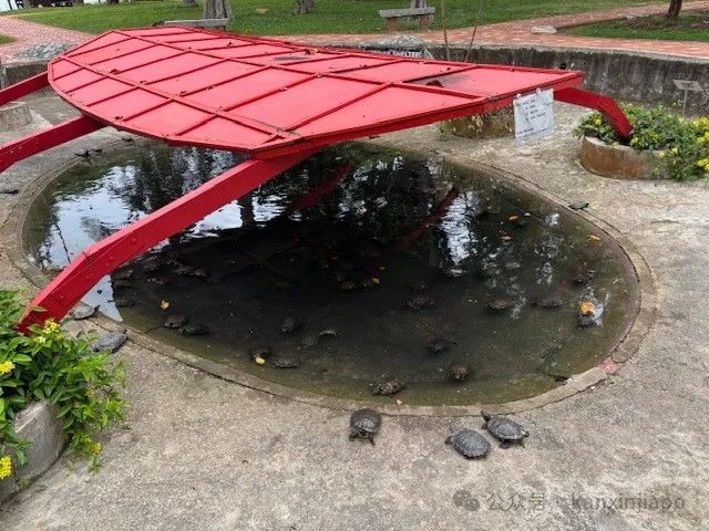 从新加坡CBD出发30分钟!这座小岛竟然藏着求财圣地