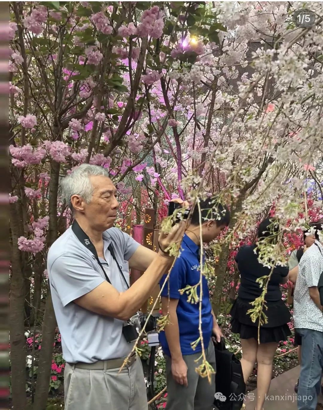 滨海湾花园偶遇李显龙!他的摄影爱好藏不住了