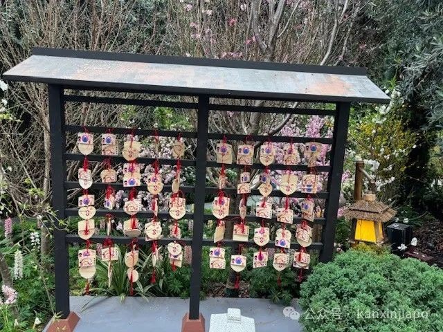 夜樱、竹灯笼、日式城堡!新加坡这个樱花展,一秒穿越到福冈