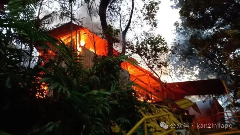 从新加坡CBD出发30分钟!这座小岛竟然藏着求财圣地