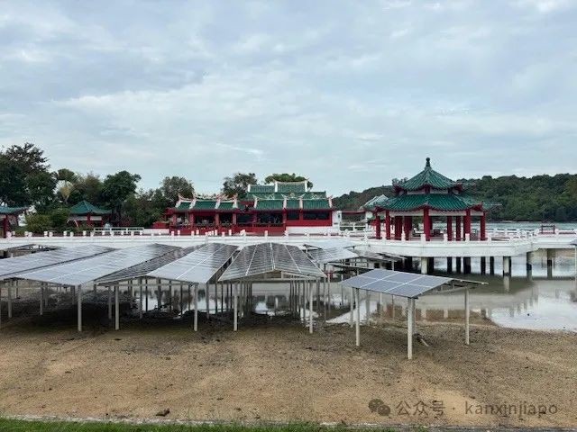 从新加坡CBD出发30分钟!这座小岛竟然藏着求财圣地