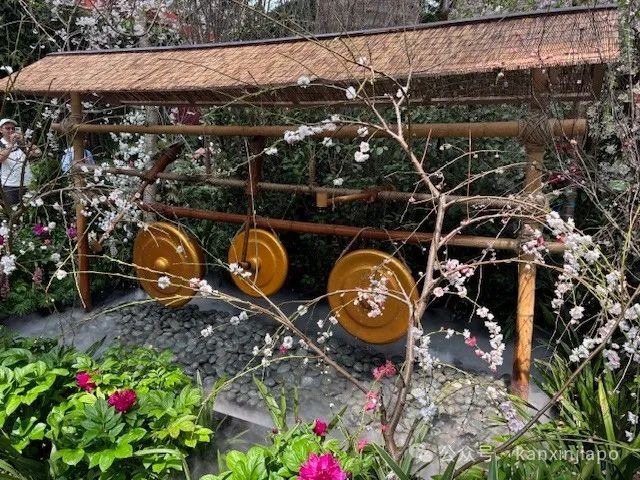 夜樱、竹灯笼、日式城堡!新加坡这个樱花展,一秒穿越到福冈