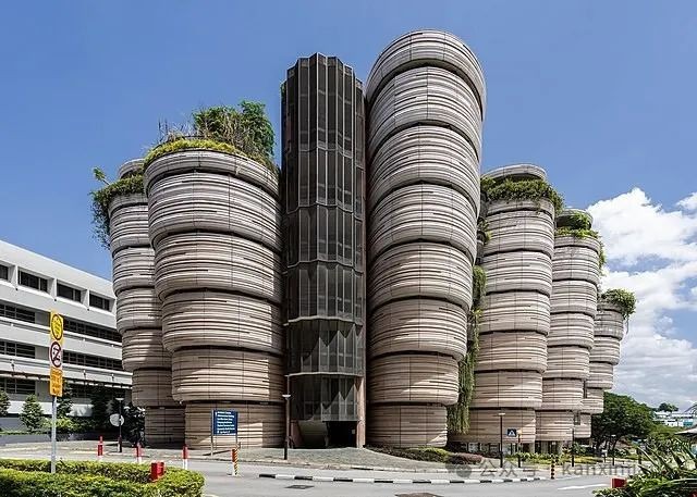 QS学科排名出炉:新加坡各名校多个学科跻身全球前十