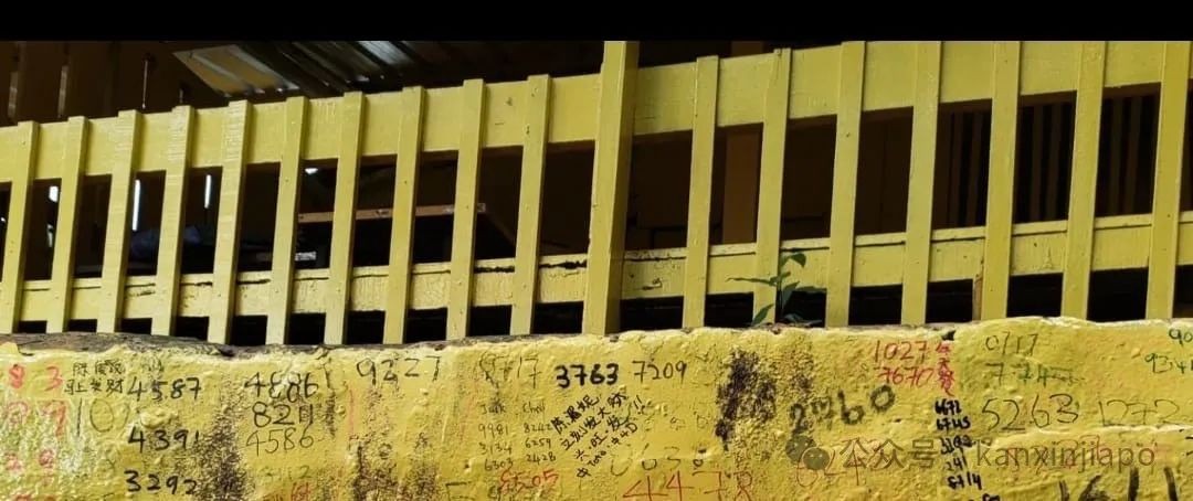 从新加坡CBD出发30分钟!这座小岛竟然藏着求财圣地