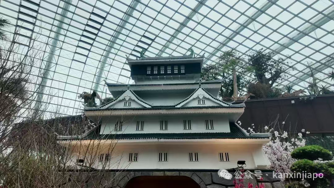 【下周活动】 Lady Gaga新加坡演唱会开票、滨海湾樱花展、复活节狂欢等你来
