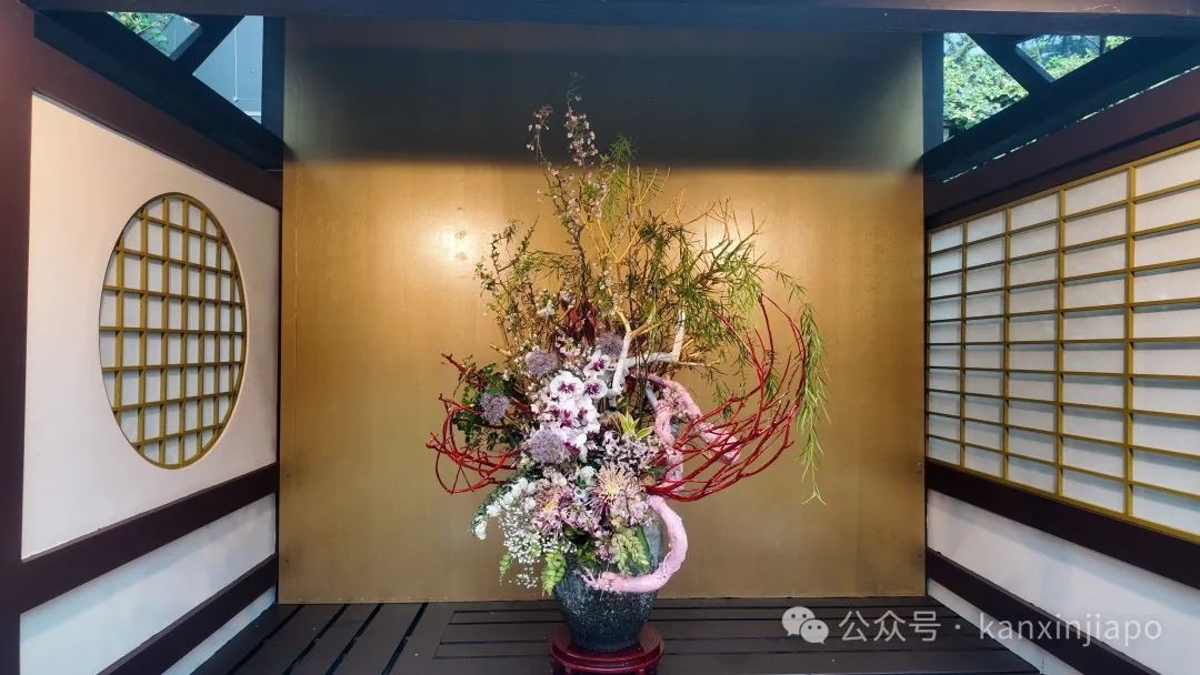 440棵樱花树空降滨海湾花园，新加坡这场花展绝了！
