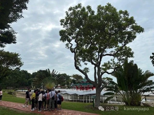 从新加坡CBD出发30分钟!这座小岛竟然藏着求财圣地