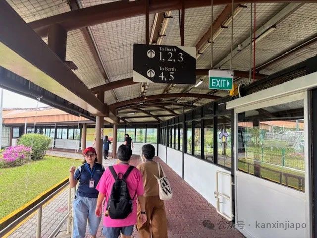 从新加坡到民丹岛,这个码头不仅方便,还能体验黑科技和嘉年华