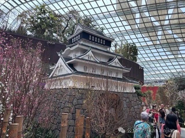 夜樱、竹灯笼、日式城堡!新加坡这个樱花展,一秒穿越到福冈