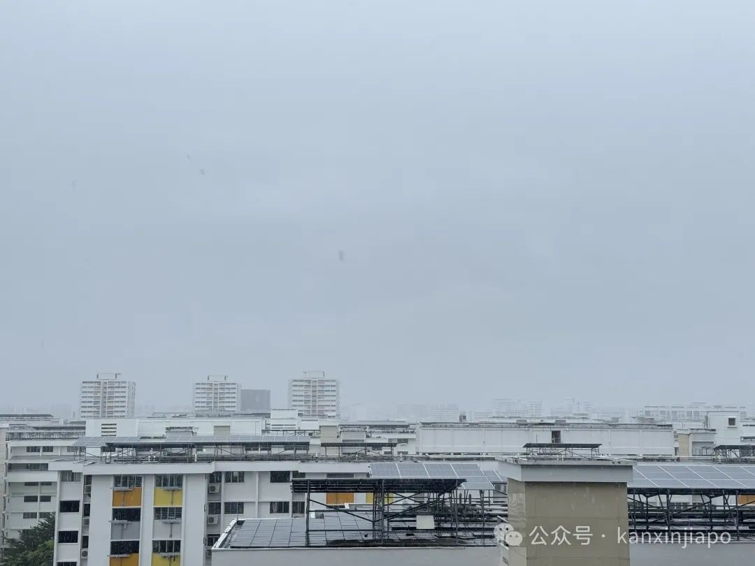 新加坡2小时强降雨达半个月雨量!富人区淹成河,豪车被泡报废