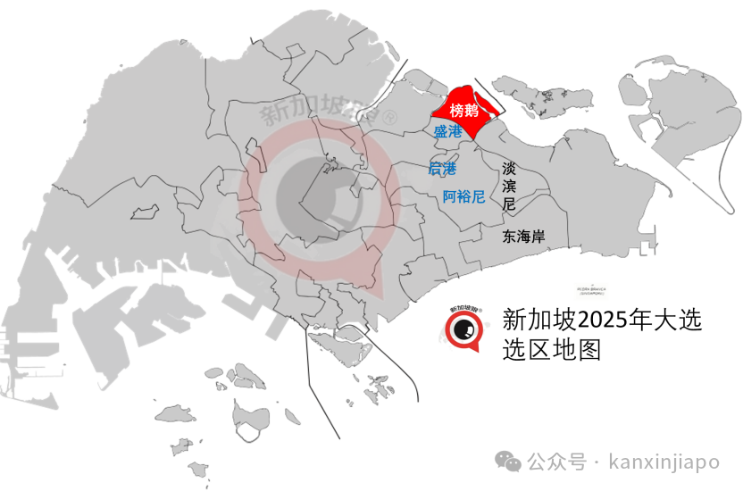 新加坡选民陷入两难：要保住副总理？还是保住反对党？