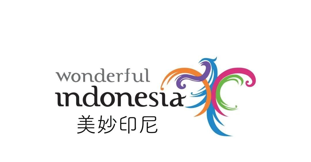 巴厘岛北部，和海豚一起跃进晨光里！