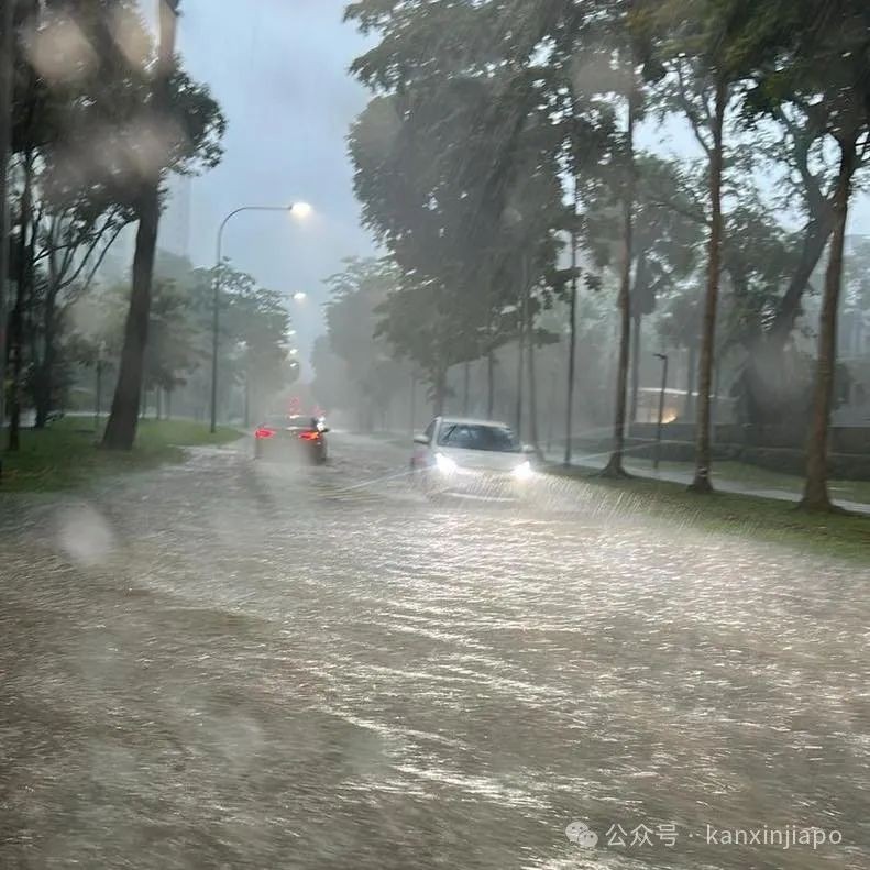新加坡2小时强降雨达半个月雨量!富人区淹成河,豪车被泡报废