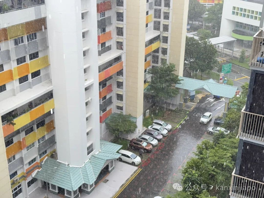 新加坡2小时强降雨达半个月雨量!富人区淹成河,豪车被泡报废