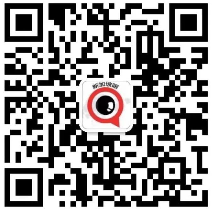 13亿新币只是冰山一角，AI进化的新物种正在重塑新加坡