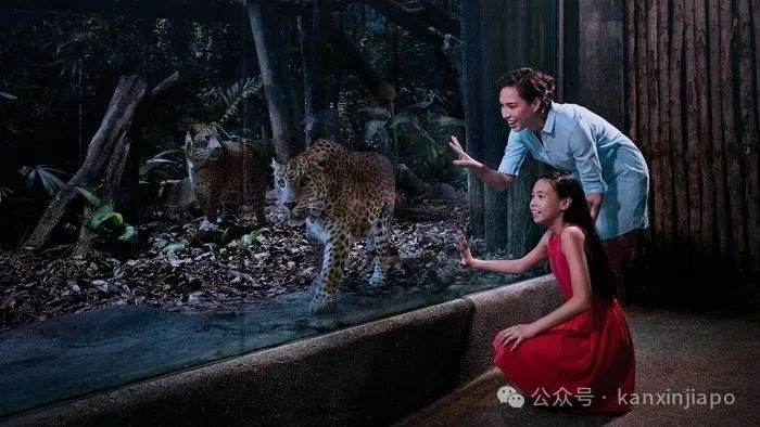 初游新加坡不迷茫!新加坡七大乐园玩转动物与生态,攻略全奉上