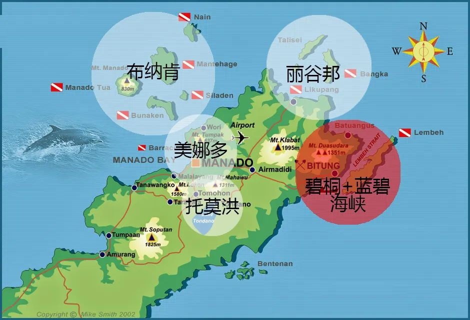 潜水圣地“娜”么多，但全球第一在这！