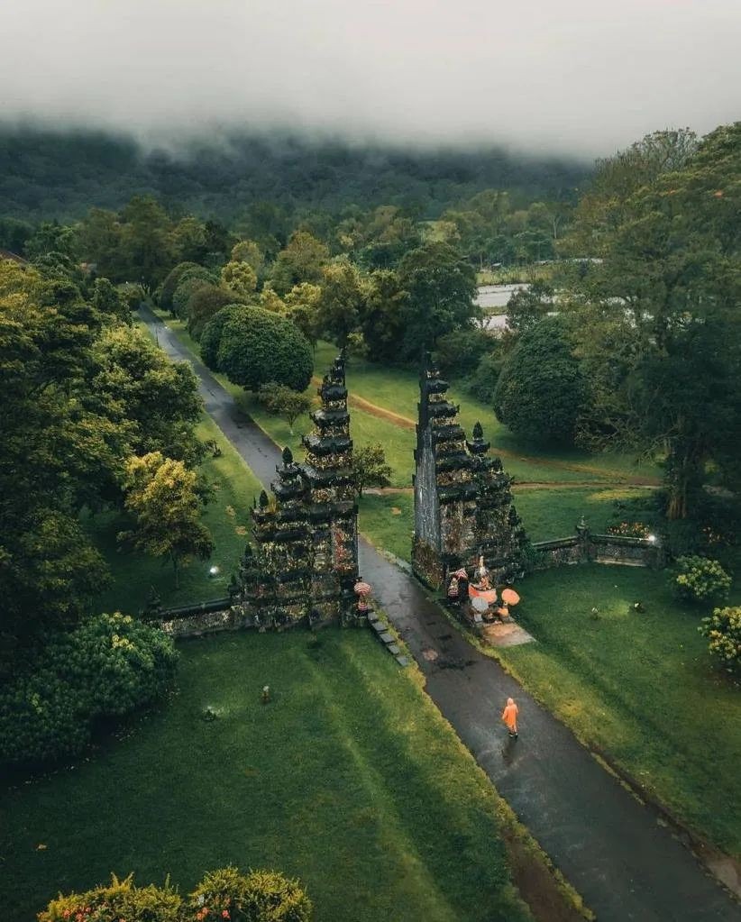 巴厘岛北部，和海豚一起跃进晨光里！