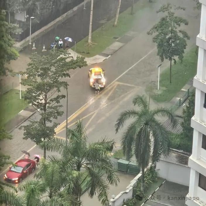 新加坡2小时强降雨达半个月雨量!富人区淹成河,豪车被泡报废