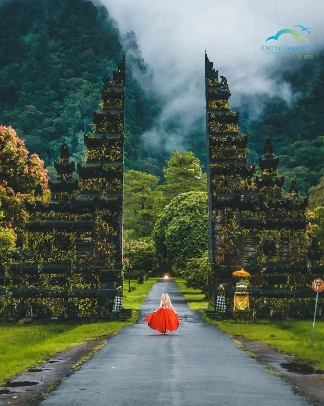 巴厘岛北部，和海豚一起跃进晨光里！