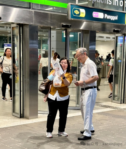 新加坡选民陷入两难：要保住副总理？还是保住反对党？
