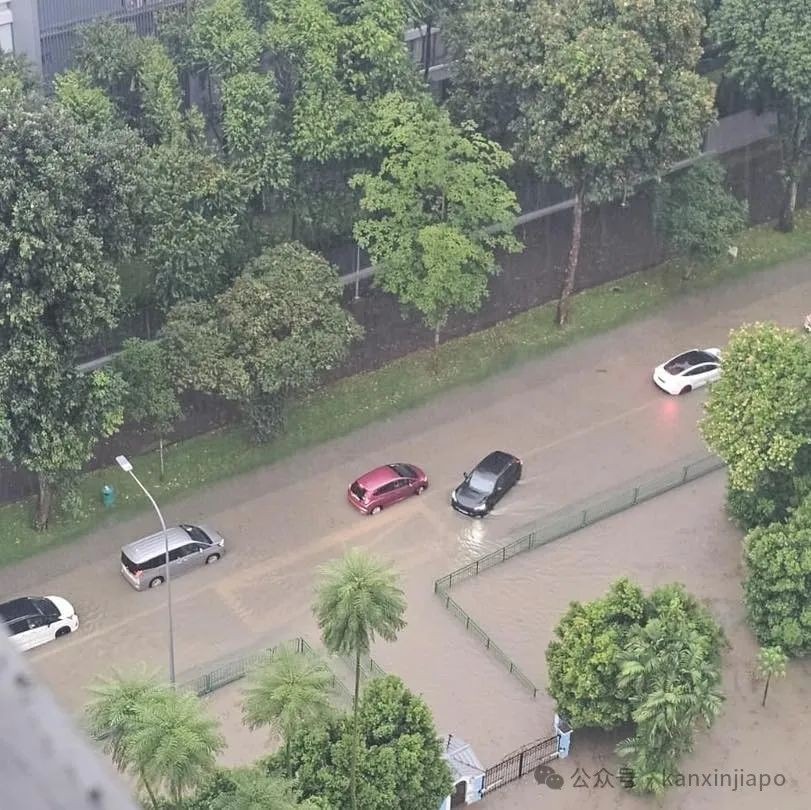 新加坡2小时强降雨达半个月雨量!富人区淹成河,豪车被泡报废