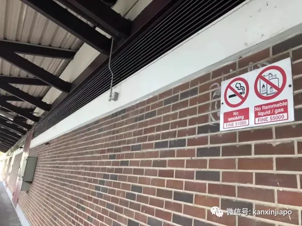 中国男子吸烟被抓还贿赂警员!这些坑在新加坡可千万别踩!轻则罚款,重则坐牢