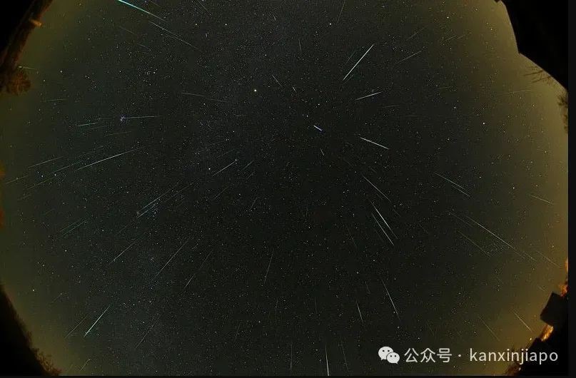 天琴座流星雨即将浪漫来袭！新加坡这些地方可看到