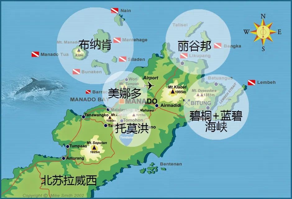 潜水圣地“娜”么多，但全球第一在这！