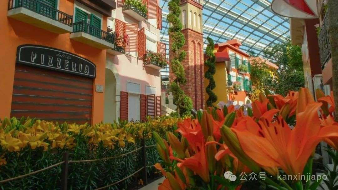 滨海湾花园变身”小意大利”!万株百合神还原威尼斯奇景超出片