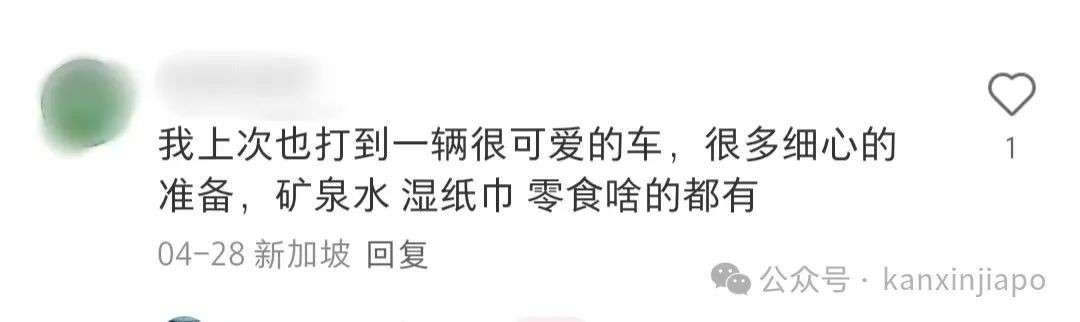 在新加坡打到“神仙车”!绿植装饰配免费零食,乘客直呼:情绪价值拉满了